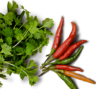 food-picture